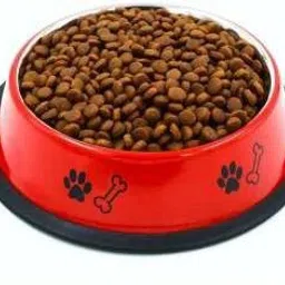 Dog Bowl 700 ml Round with Paw Bone Printed Food Water Feeding Bowl for Dogs Round Stainless Steel Pet Bowl-image-17