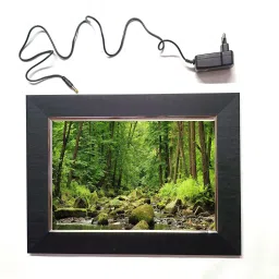 AMAZON FOREST LED FRAME 11.5 BY 15.55 15.5 inch LED PHOTO FRAME-22