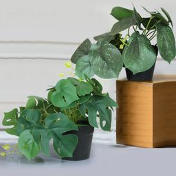 TIED RIBBONS 2 Pieces Green Artificial Monstera Deliciosa & Anthurium Plants with Pot-49