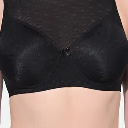 FIMS Pack Of 2 Lightly Padded Seamless Full Coverage Everyday Bra With All Day Comfort image 2