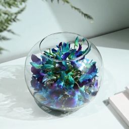 Orchid Bliss In A Fish Bowl-image-69