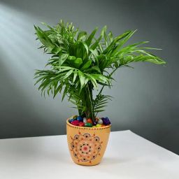 Chemonderia Plant In Embroidery Design Pot-image-3