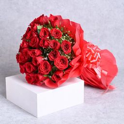 Delicate Ravishing Romance-image-18