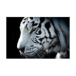 Inephos Black And White 1 Piece Birds and Animals Printed Canvas Wall Art-37