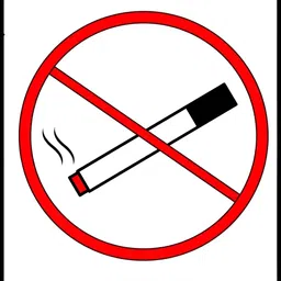 Wallpics White & Red No Smoking Printed High Quality Waterproof Wall Poster-27