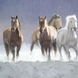 Wallpics Blue & Brown Printed High Quality Fully Waterproof Poster-picture-34