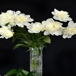 PnF Black & Off White Floral And Botanical Wall Painting-image-82