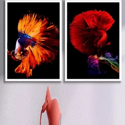 SAF Black & Orange 2 Pieces Colorful Fish Framed Wall Art-28