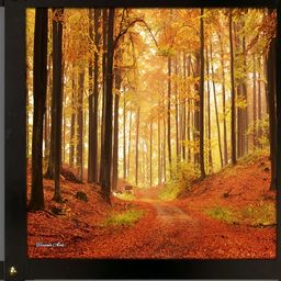 PnF Black & Green Wooden Other Wall Painting-image-87