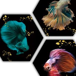 PnF Black & Blue 3 Piece Wooden Fish Wall Painting-image-76