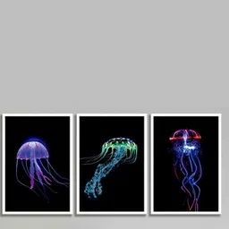 SAF 3 Pcs Black & Blue Wildlife Fish Painting Framed Wall Art-21