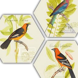 PnF Green & Orange 3 Pieces Wooden Birds and Animals Wall Arts-image-18