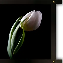 PnF Black & Green Wooden Floral and Botanical Wall Painting-image-67