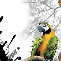 PnF White & Green 3 Piece Paper Birds and Animals Painting Wall Art-image-63