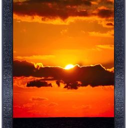 PnF Black & Orange Wooden Floral and Botanical Wall Art-image-94