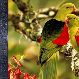 PnF Black & Green Wooden Birds and Animals Painting Wall Art-image-57