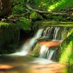 Wallpics Green & White Printed High Quality Fully Waterproof Wall Sticker Poster-image-121