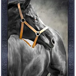 PnF Black & Grey Wooden Birds and Animals Painting Wall Art-image-28