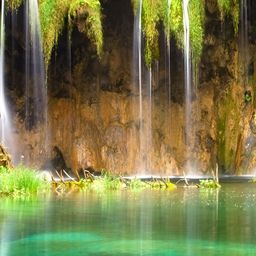 Wallpics Green & Brown Printed Waterproof Wall Sticker-17