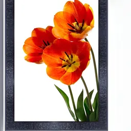 PnF Black & Orange Floral and Botanical Wooden Painting Wall Art-image-99