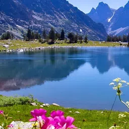 Wallpics Blue & Green Nature Printed Wall Poster-27
