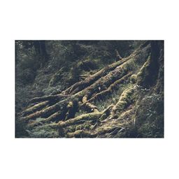 Inephos Green And Brown Abstract Printed Canvas Wall Art-14