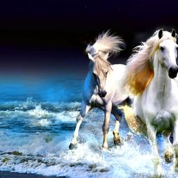 Wallpics White & Blue Running Horses Wall Poster-image-116