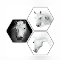 PnF Black & White 3 Pieces Wooden Painting Wall Art-image-26