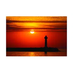 Inephos Black & Orange Abstract Printed Canvas Wall Art-37