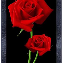 PnF Black & Red Roses Wooden Painting Wall Art-image-16