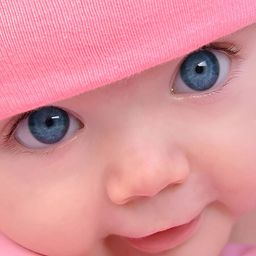 PnF Pink & Blue Baby Paper Wall Photographs-image-114