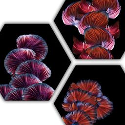 PnF Black & Red 3 Pieces Wooden Painting Wall Art-image-95
