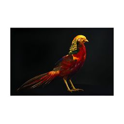 Inephos Black & Red 1 Piece Paper Other Wall Paintings-image-33