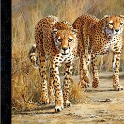 PnF Yellow & White Cheetah Photograph Wooden Wall Art-image-50
