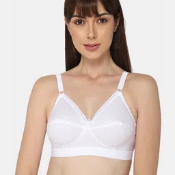 NAIDU HALL Medium Coverage All Day Comfort Cut & Sew Cotton Bra-picture-5
