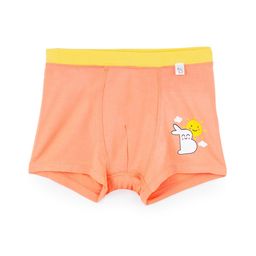 SuperBottoms Boys Super Soft Anti Bacterial Basic Briefs Und-B-TR-NS-4-6Y-1P-image-85