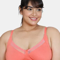Zivame Plus Size Full Coverage Everyday Bra All Day Comfort-image-1