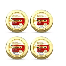 Khadi Organique Set Of 4 Litchi Lip Balm with Aloe Vera & Shea Butter - 5g Each-30