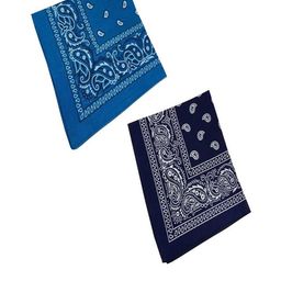 Aadikart Pack of 2 Blue & Navy Blue Printed Pure Cotton Bandana-picture-51