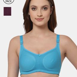 Floret Set Of 2 Turquoise Blue & Burgundy Non Padded & Non Wired Solid Bra-36