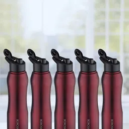 BOROSIL Grip N Sip 5-Pieces Maroon Single Wall Bottle 750 ml Each-84