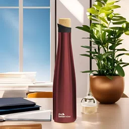 The Better Home Kids Maroon Single Stainless Steel Water Bottle 500 ml-image-76