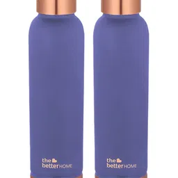 The Better Home Purple 2 Pieces Copper Water Bottles 950 ml Each-image-28