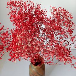 Artecasa Naturally Dried Red Baby Breaths-image-36