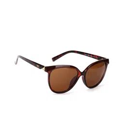 ENRICO Women Brown Lens & Brown Cateye Sunglasses - EN E 3031 C3-Brown-37