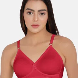 NAIDU HALL Full Coverage All Day Comfort Super Support Cotton Everyday Bra-picture-26