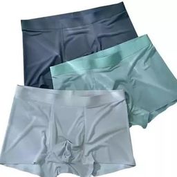 Men's Underwear Ice Silk Seamless Boxer Briefs Breathable Ultra-Soft Panties Antibacterial Multicolor Free Size (XL, 2) image 1