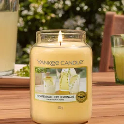 YANKEE CANDLE  Orange Scented-Homemade Herbal Jar Candle-image-4