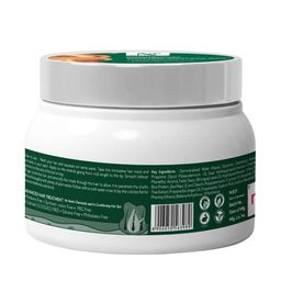 nutriglow Nutri Glow Color Protect Spa for Color Damage Reverse & Strength Restore - 300gm image 4