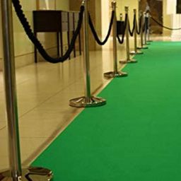 Safiya Carpet Green Solid Anti-Skid Nylon Carpets-image-36